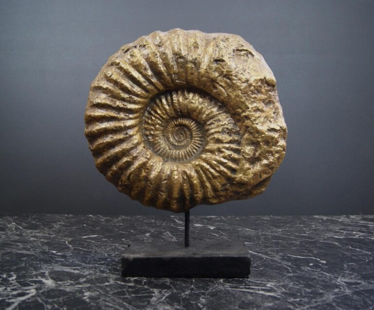 Shell on Stand Medium GLA