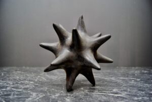 SEA URCHIN BA
