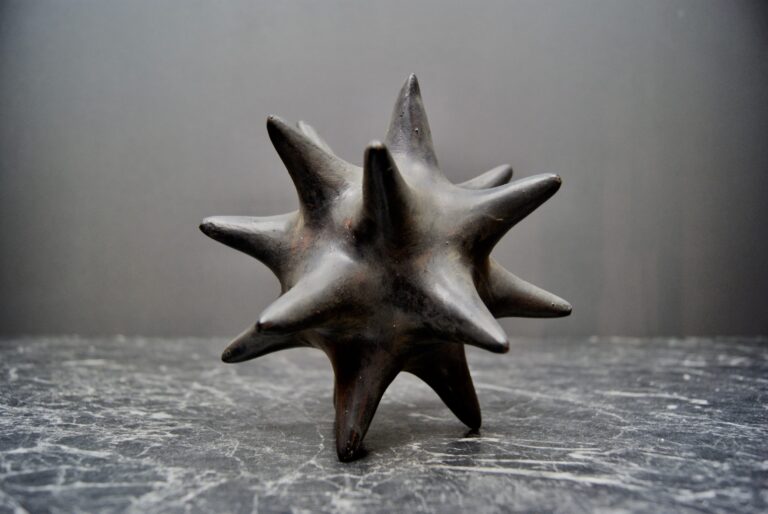 SEA URCHIN BA