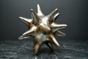 SEA URCHIN SLA