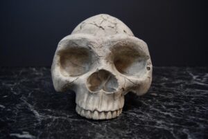 Big Skull Stone
