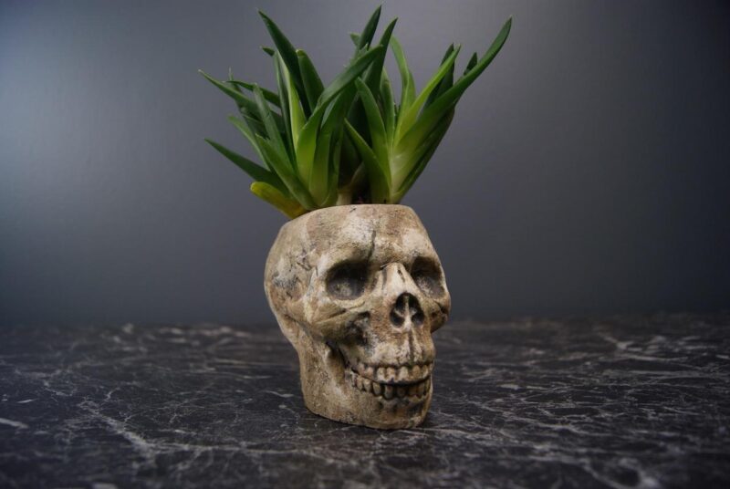 SKULL PLANTER
