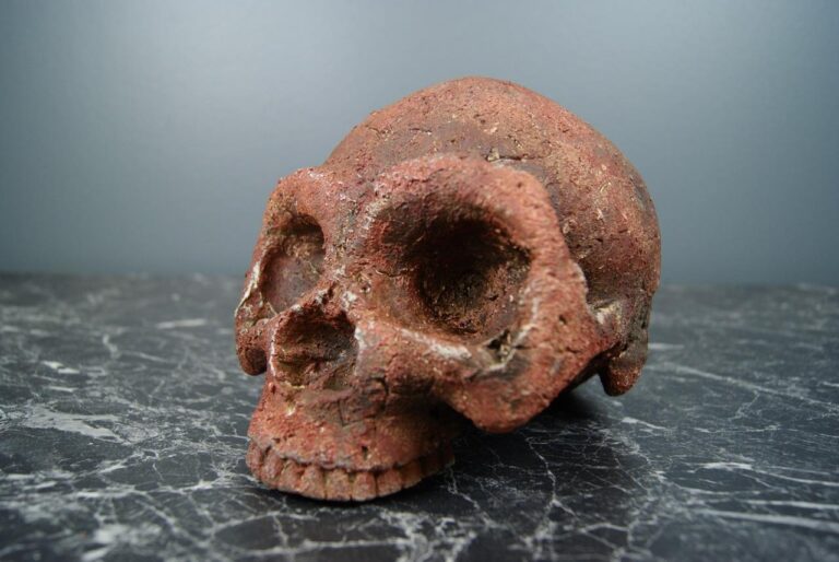 BIG SKULL RSTIC