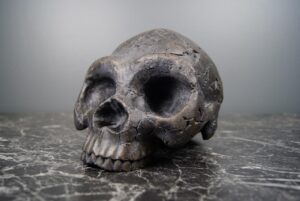 BIG SKULL BLK SNT