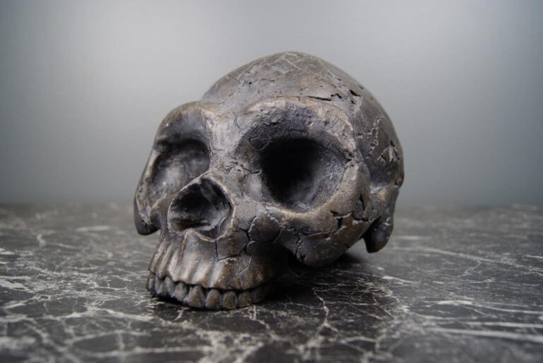 BIG SKULL BLK SNT