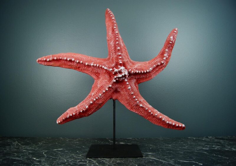 STARFISH ON STND C.RED