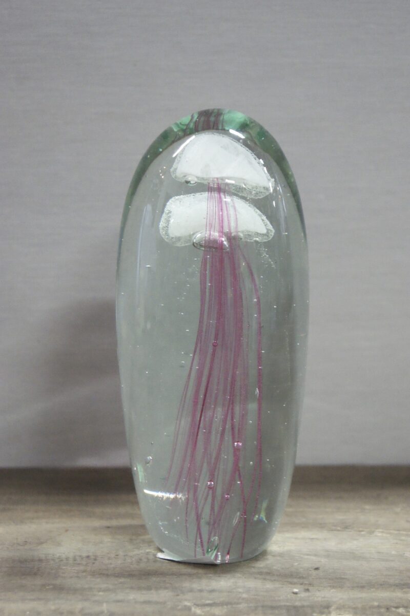 Glass Jellyfish