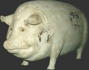 Gloucester Old Spot Pig Big