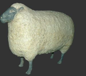 Sheep Large