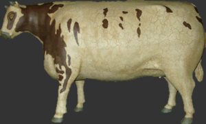Craven Heifer Cow Large