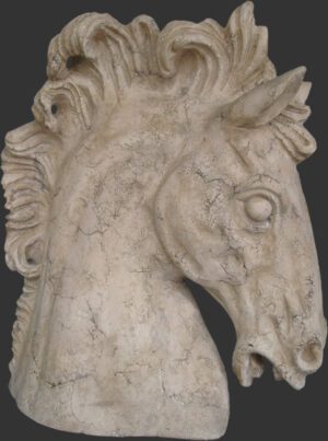 Horse Head