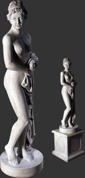 Venus Holding Apple