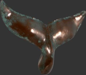 Whale Tail Wall Decor 26"GB