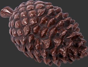 Pinecone Large PB
