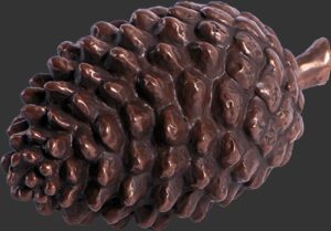Pinecone Small PB