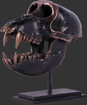 Macaque Skull on Base