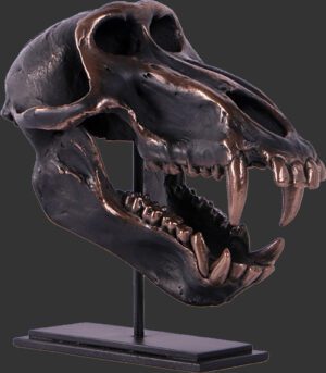 Chacma Baboon Skull on Base