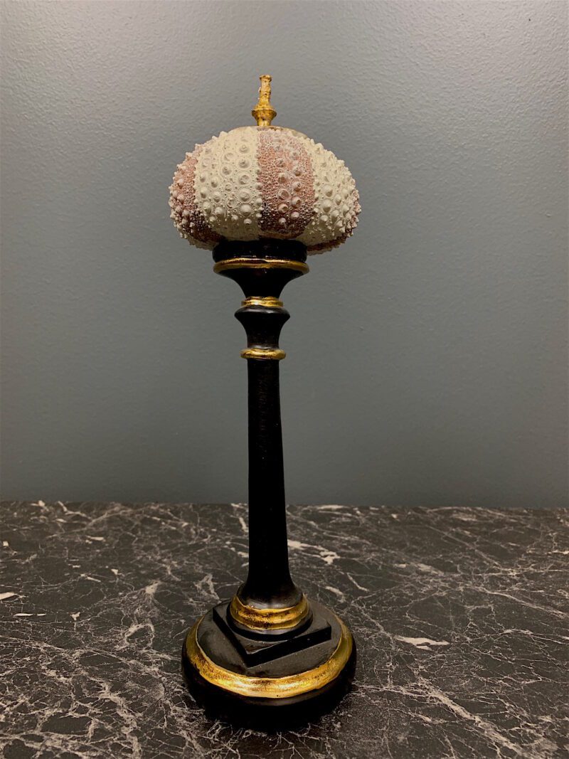 Echinus w/Base