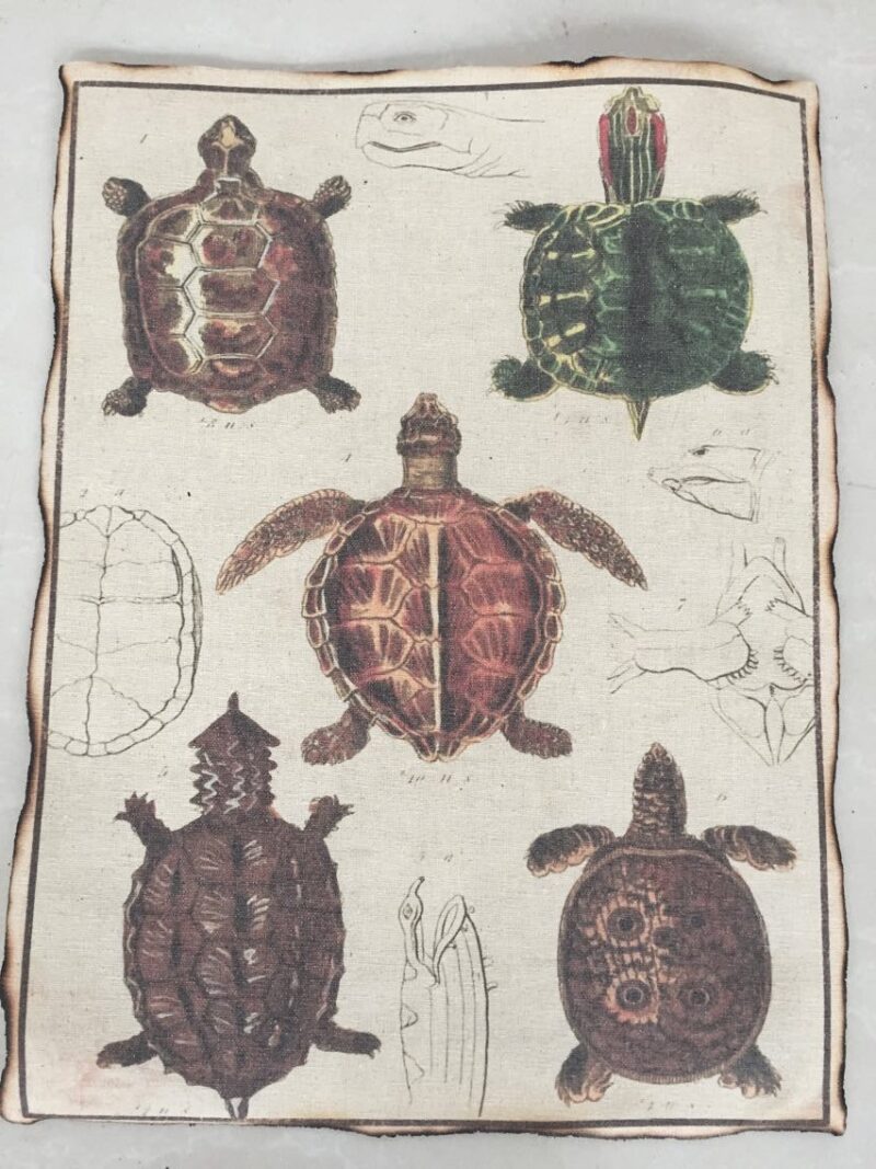Placemat