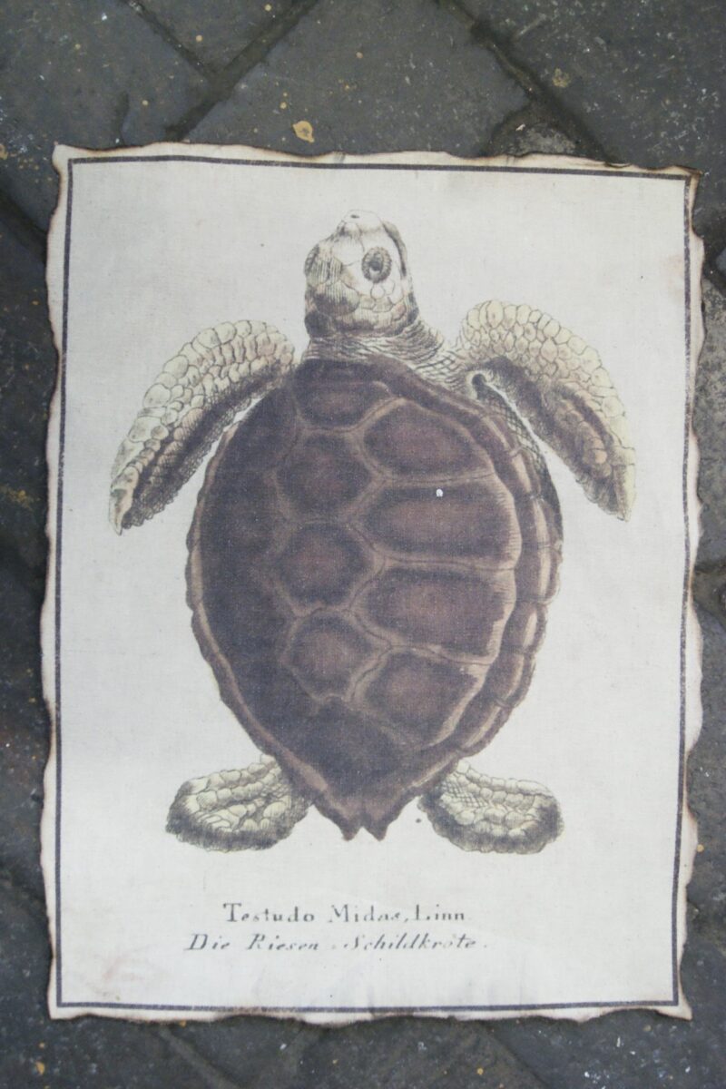 Placemat