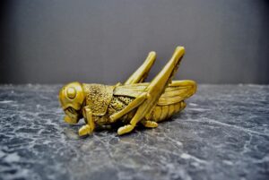 Wall Locust