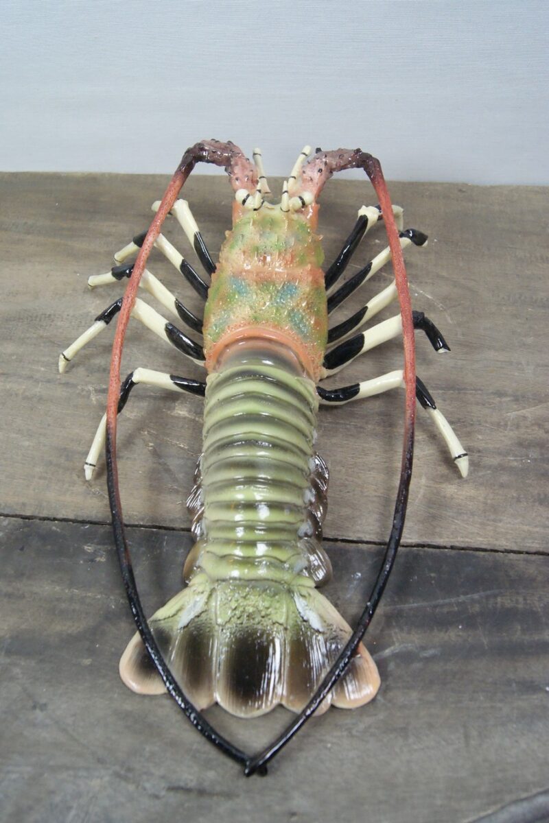 Bermuda Lobster