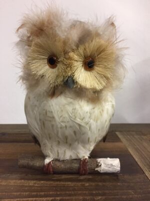 Owl Medium