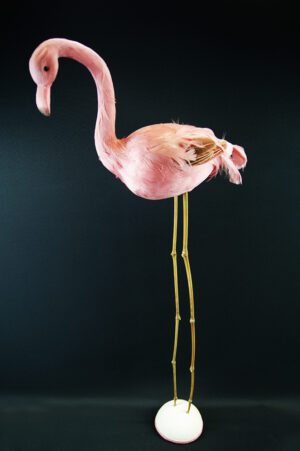 Bird W/ Stick