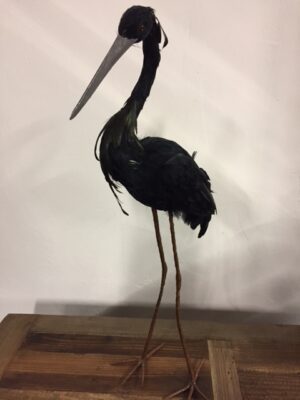 Bird Long Leg Blk L