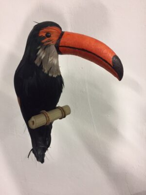 Tucan Sm