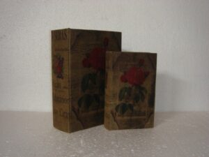 Book Box Flower S/2