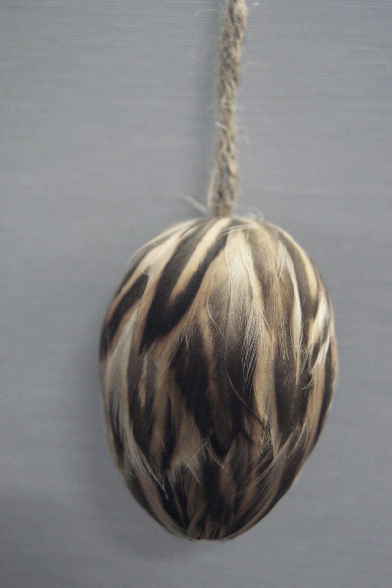 Feather Eggs