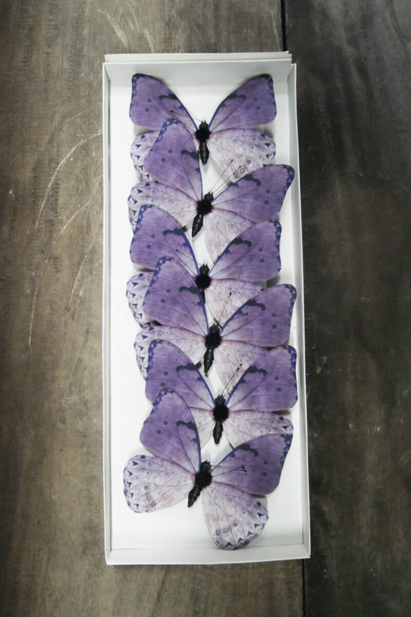 Butterfly purple 14SJ98R01 11