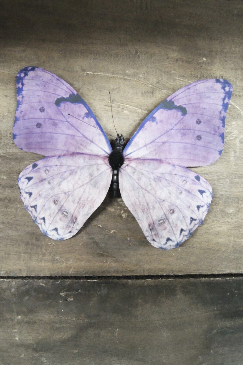 Butterfly purple 14SJ98R01 20