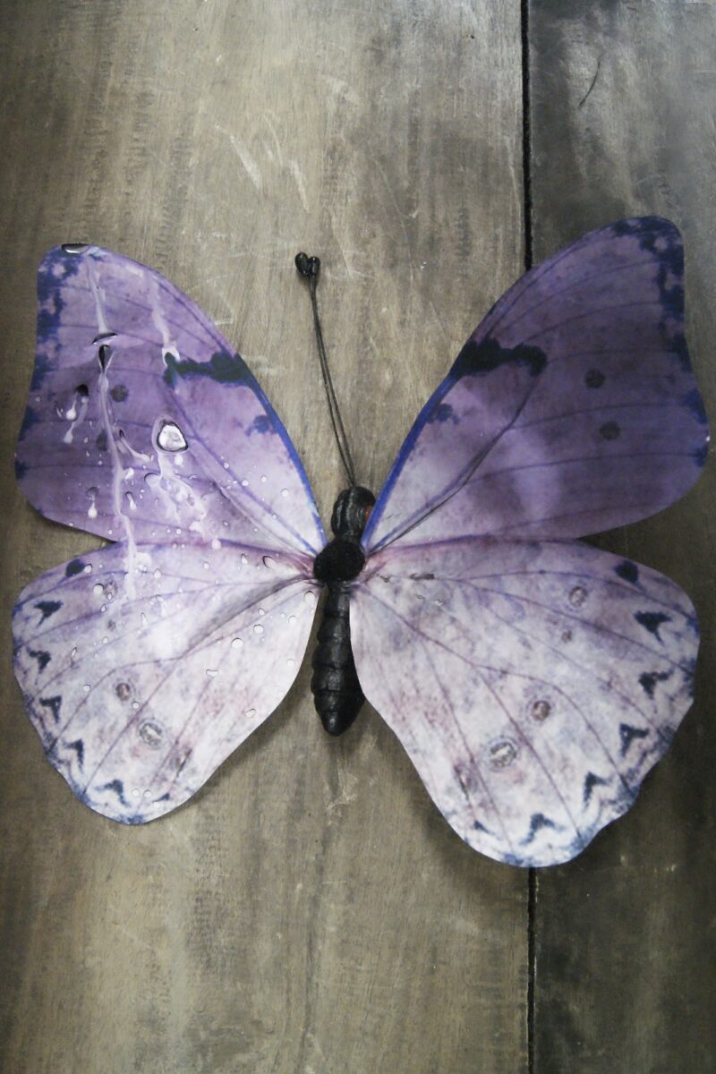 Butterfly purple 14SJ98R01 30