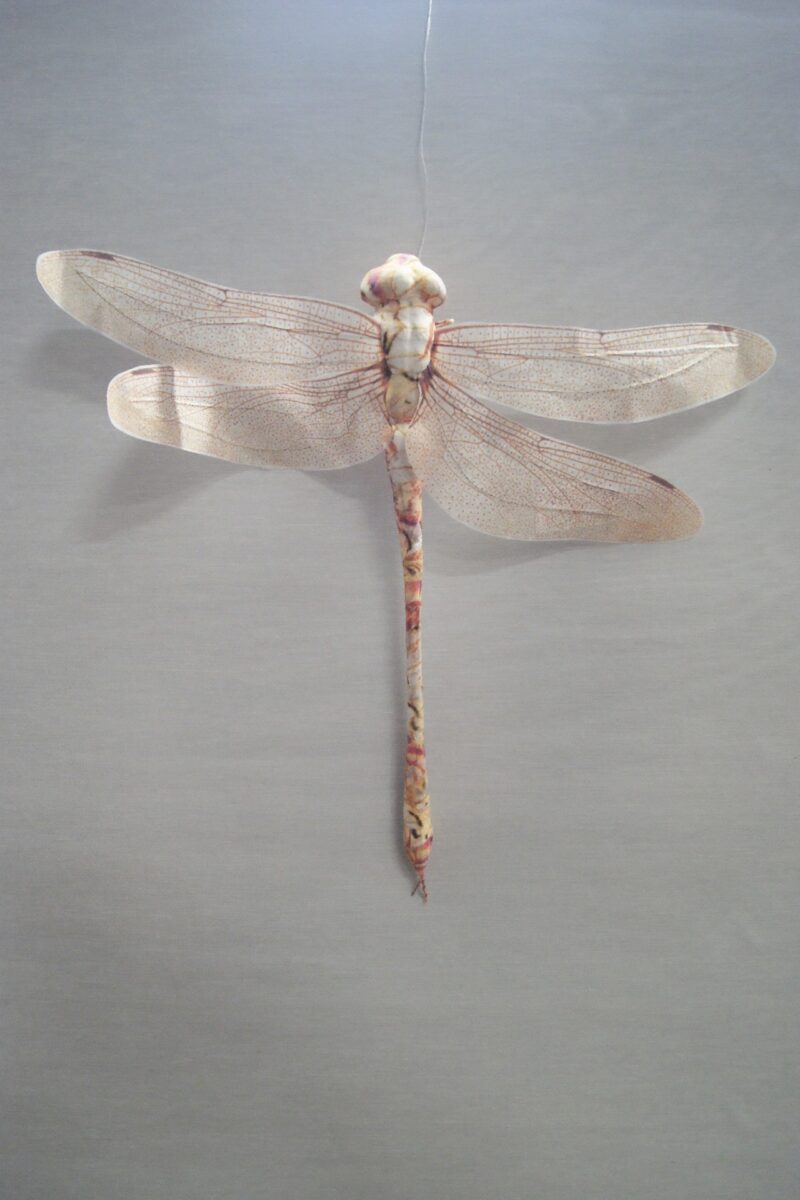Dragonfly pink yellow 40
