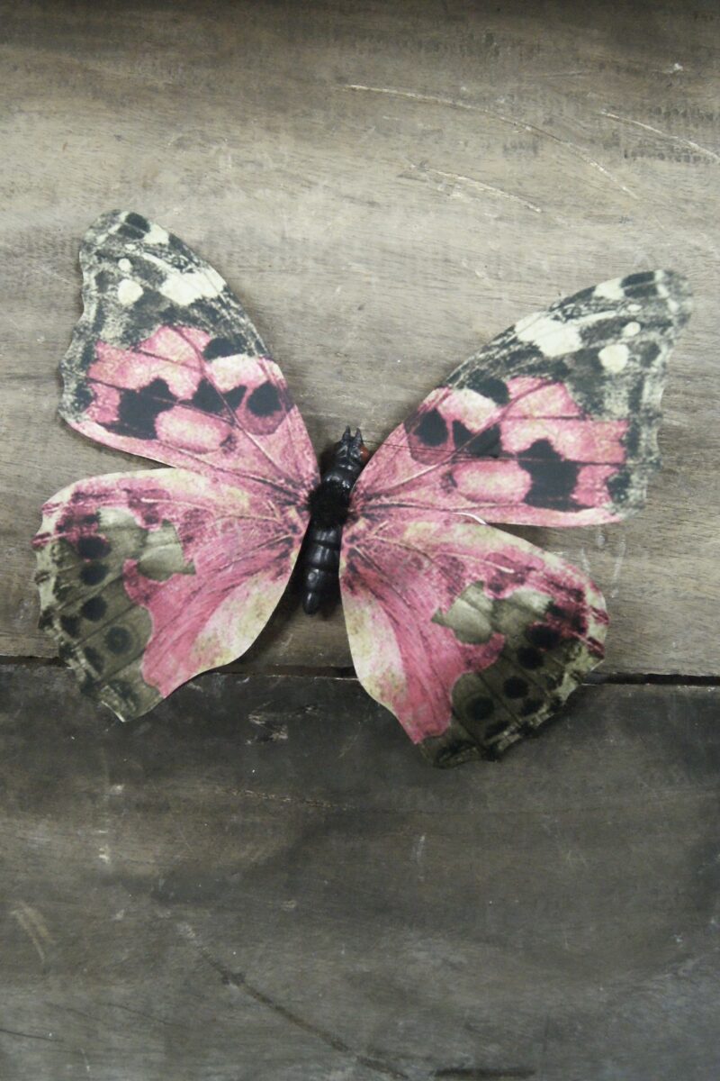 Butterfly pink 14SJ103P01 20