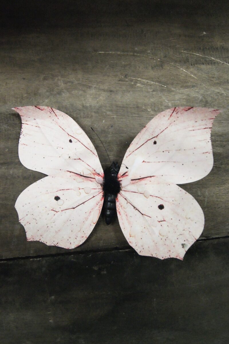 Butterfly light p 5S112P1  30c