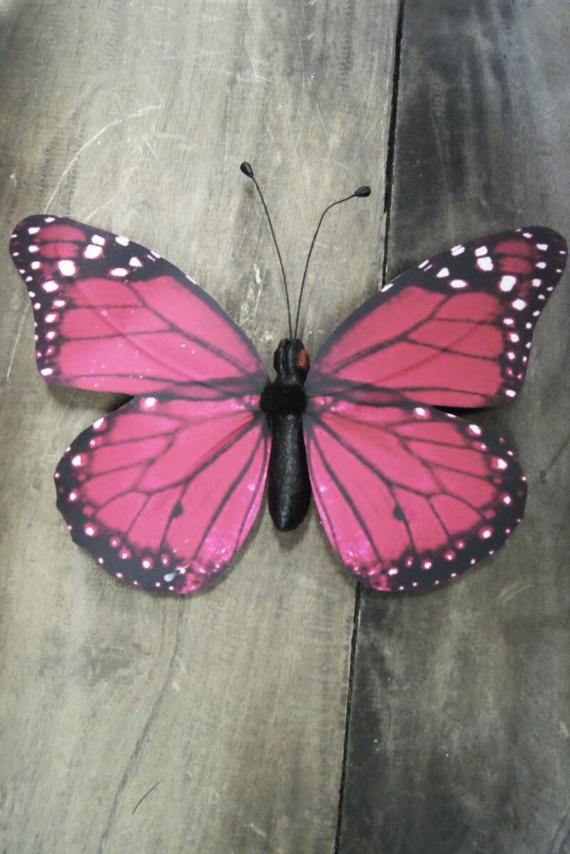 Butterfly burg 12S111VR01 30C