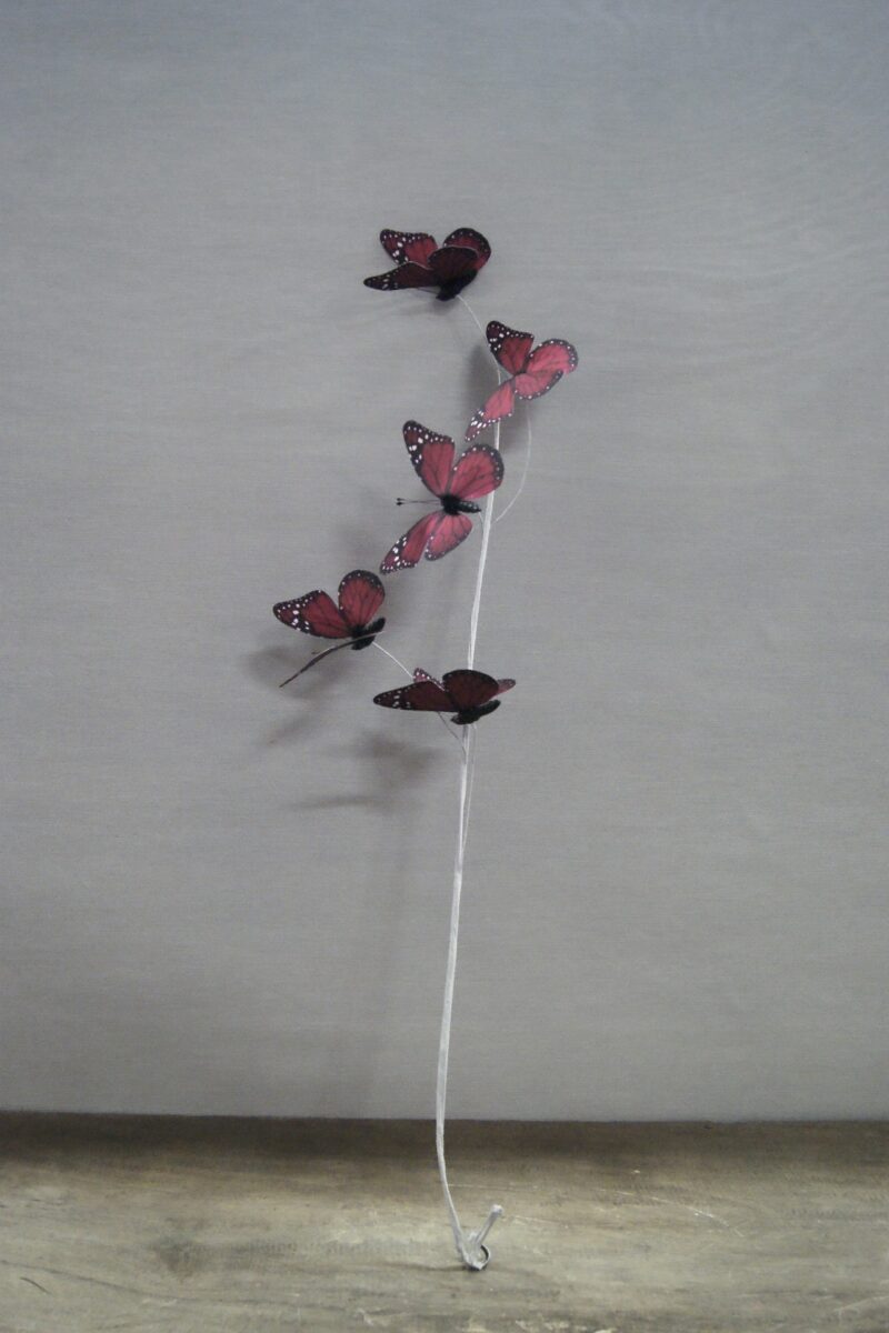 Butterfly burg 12S111VR01 B