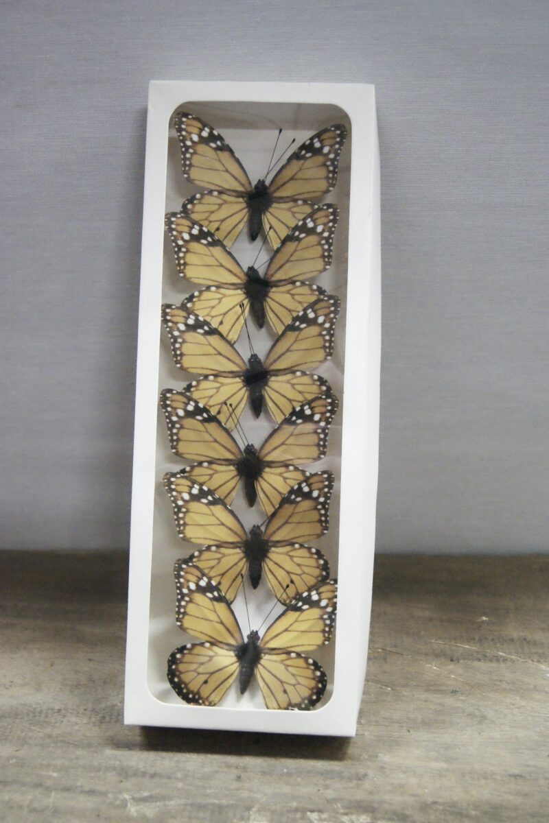 Butterfly yellow 12S111Y01 8c
