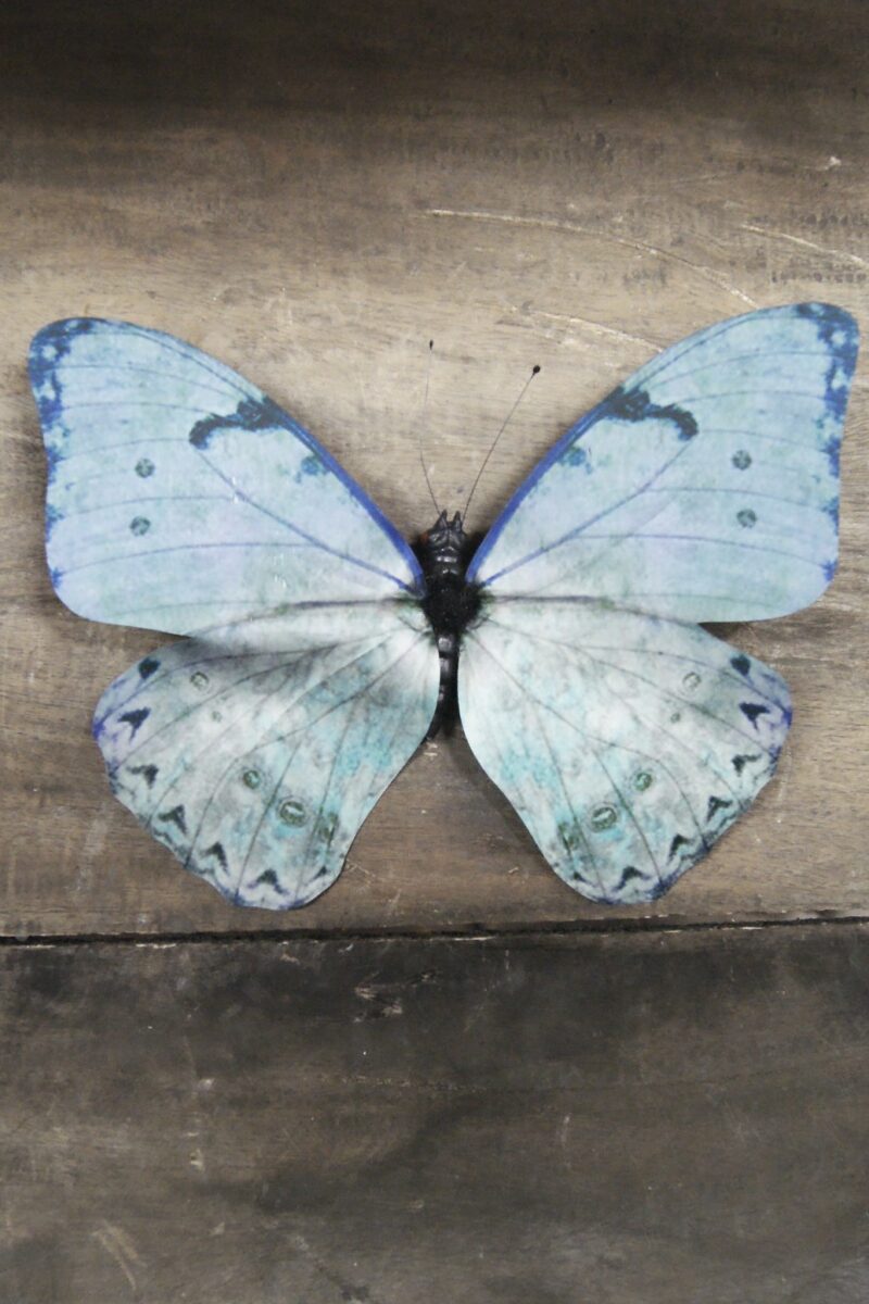 Butterfly L green 13SJ98B01 20