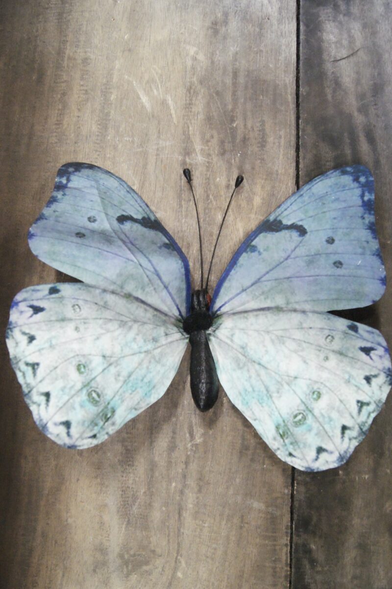 Butterfly L green 13SJ98B01 30