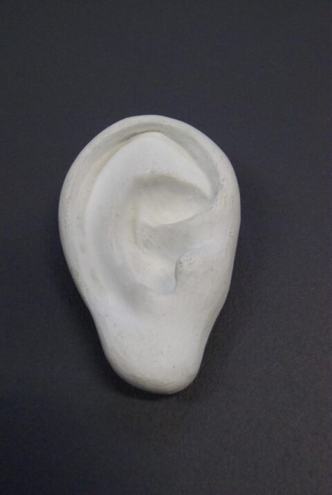 Plain White Ear wall décor