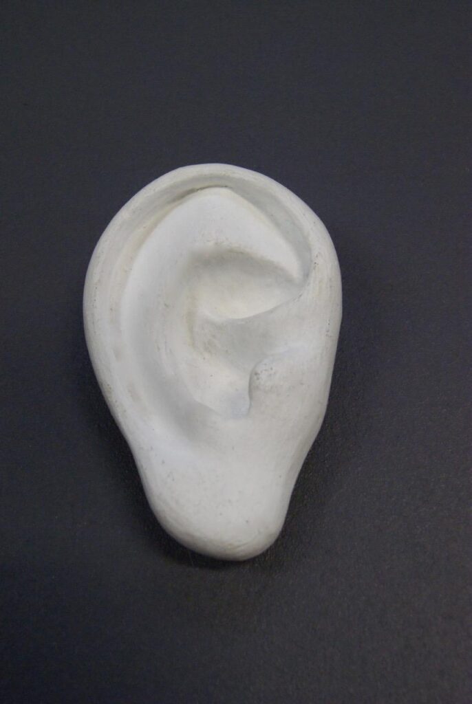 Plain White Ear wall décor