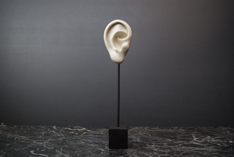 White Ear with Black base