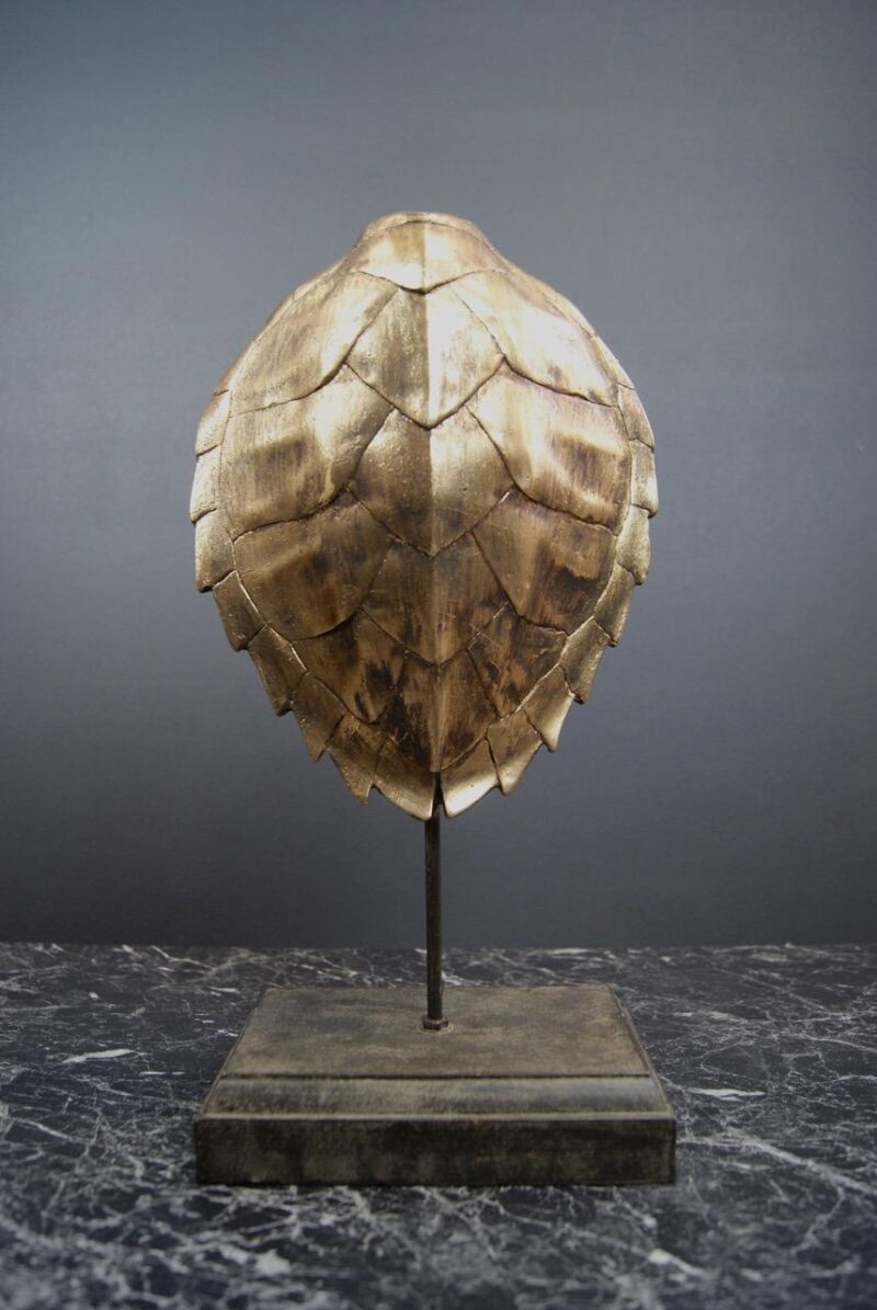 Turtle Shell
