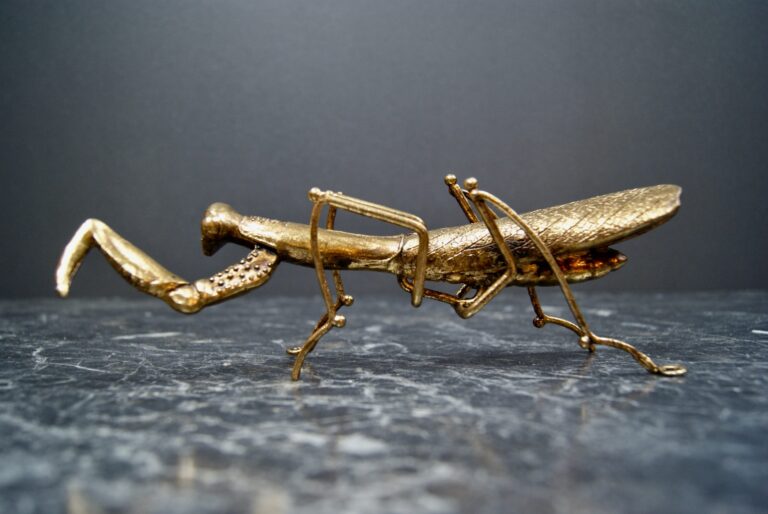 L8.5" Golden Mantis