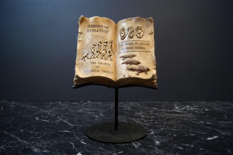 9" Book