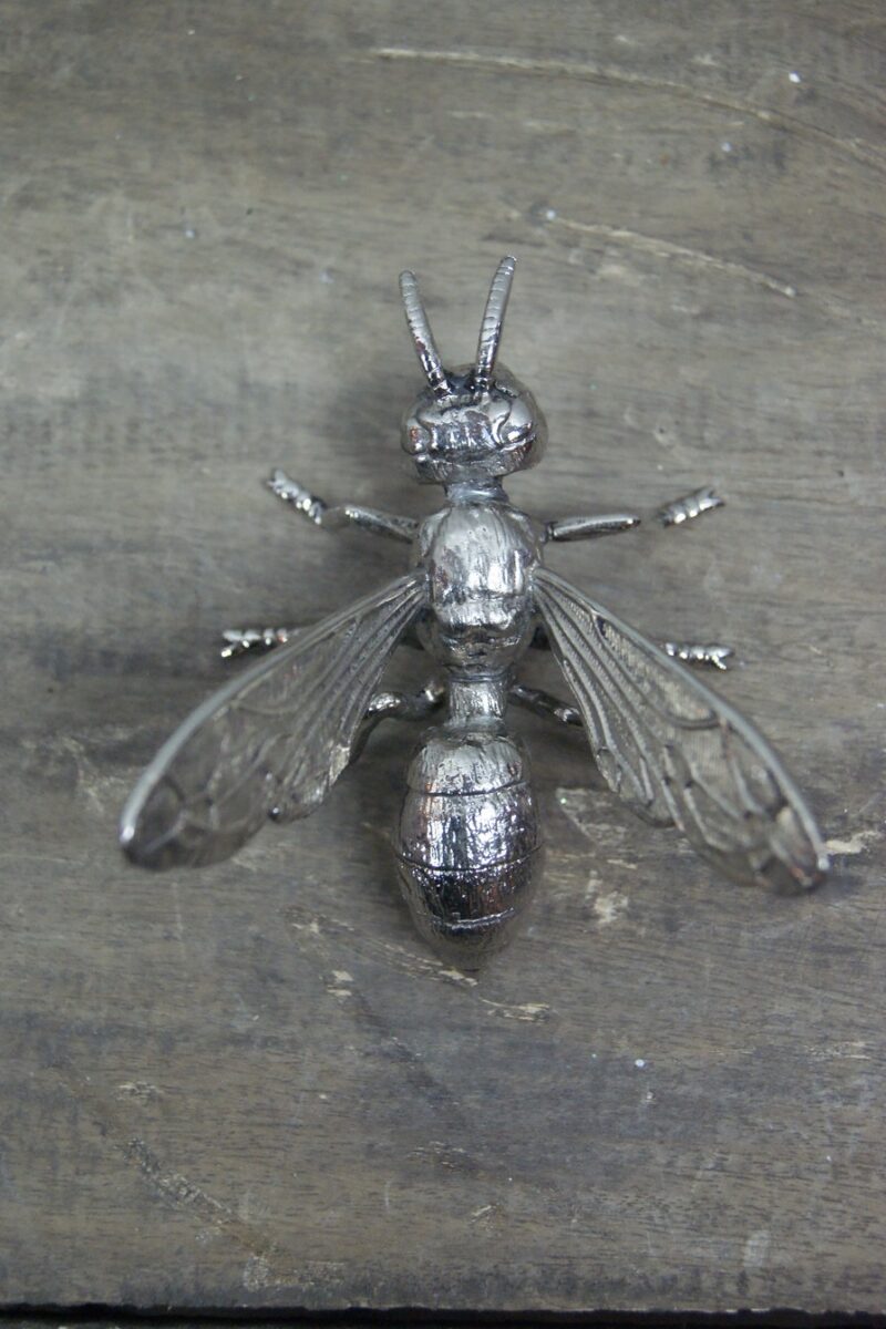 Insects